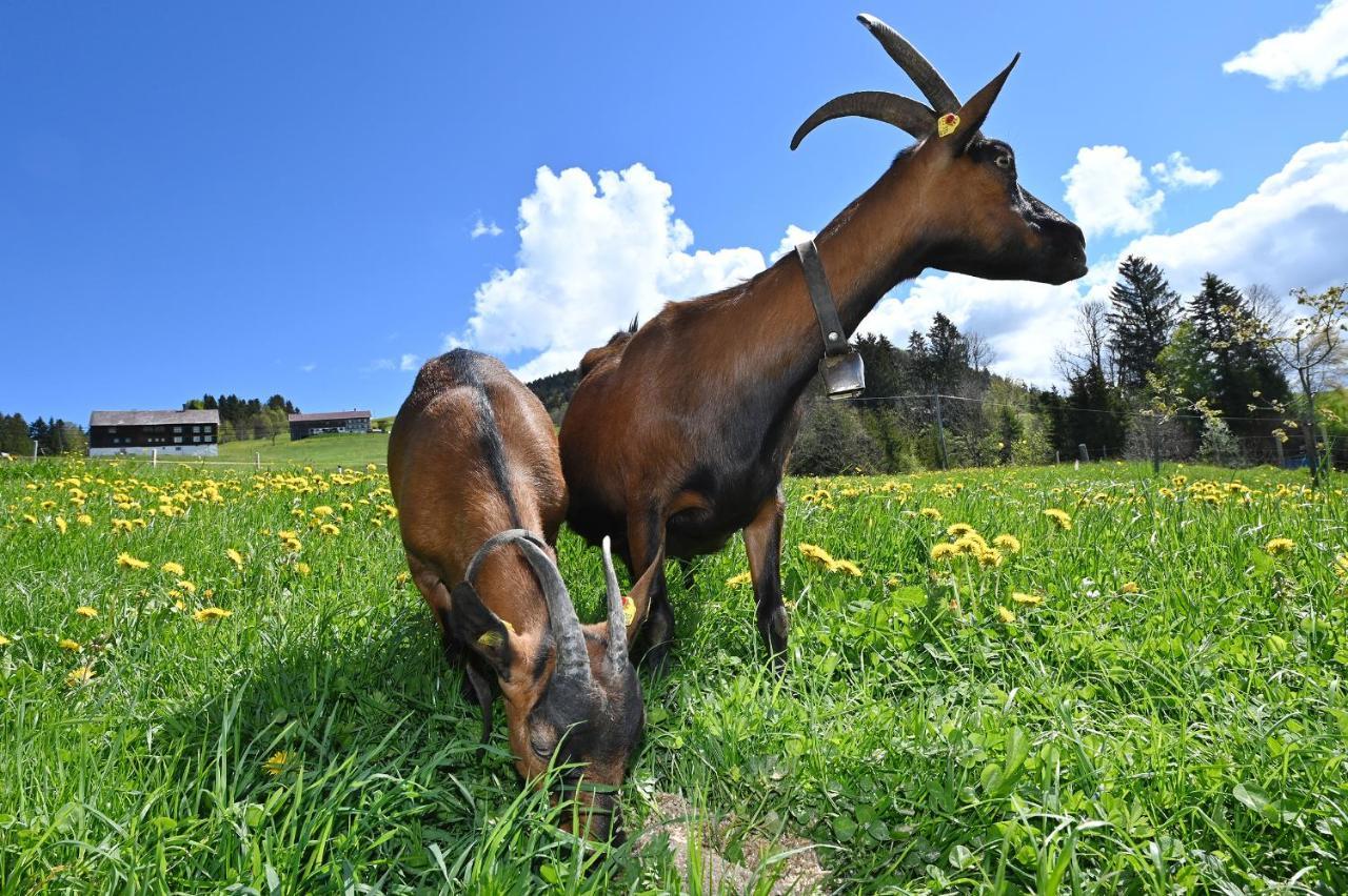 Bauernhof Bilgeri Villa ฮิตทีเซา ภายนอก รูปภาพ