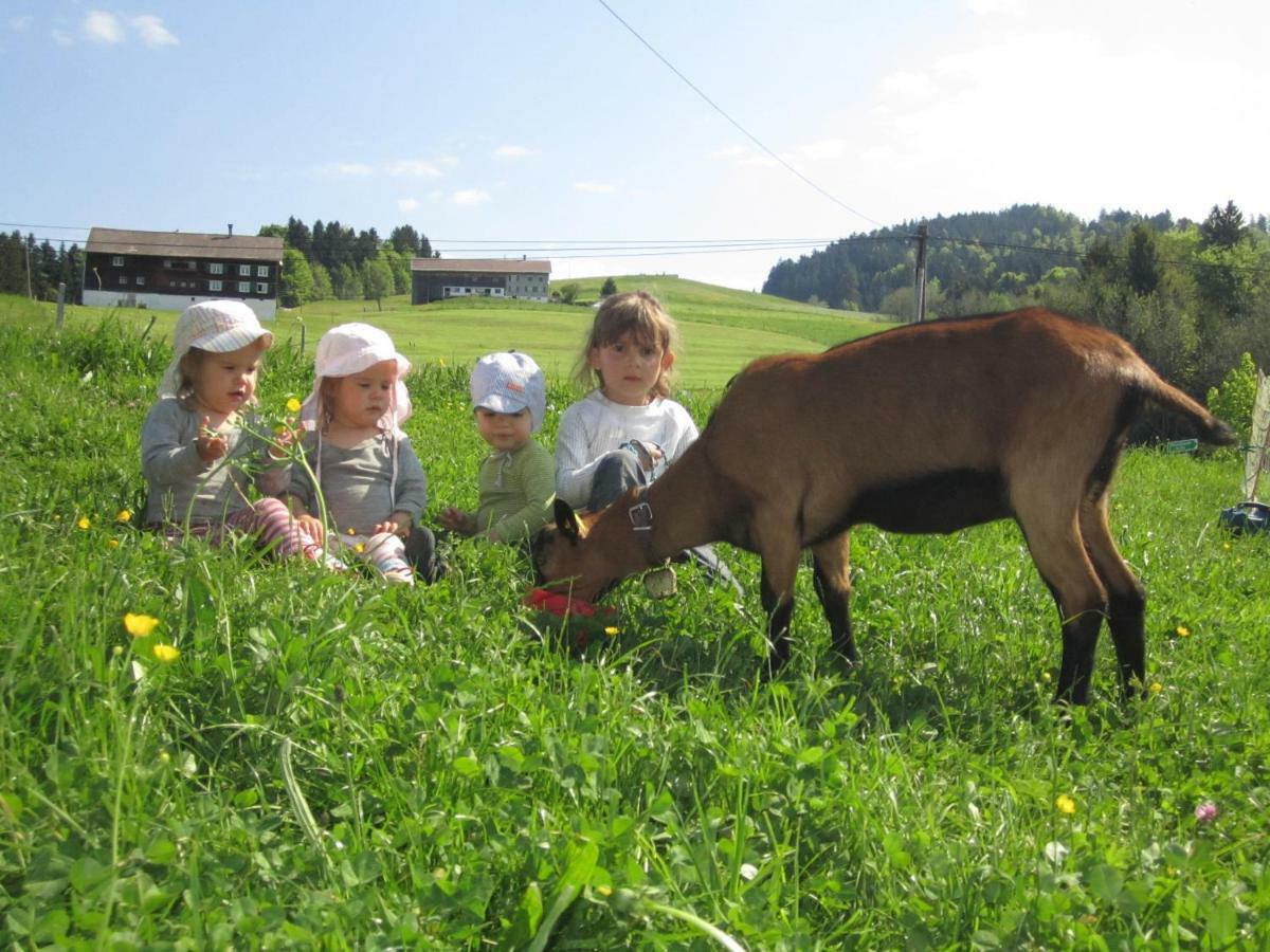Bauernhof Bilgeri Villa ฮิตทีเซา ภายนอก รูปภาพ